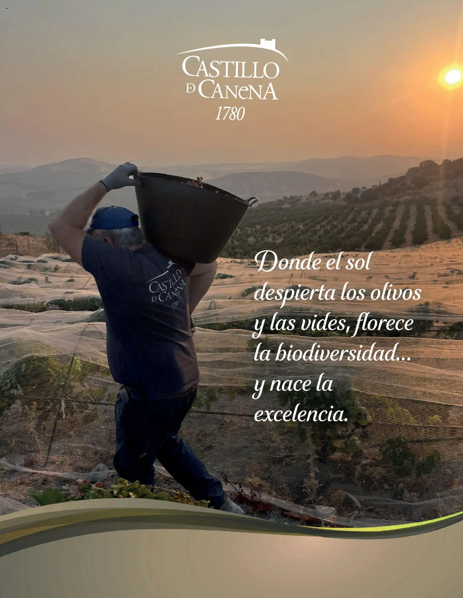 El Corte Inglés ofertas │ válido desde el 19.11.2025 | Página: 76