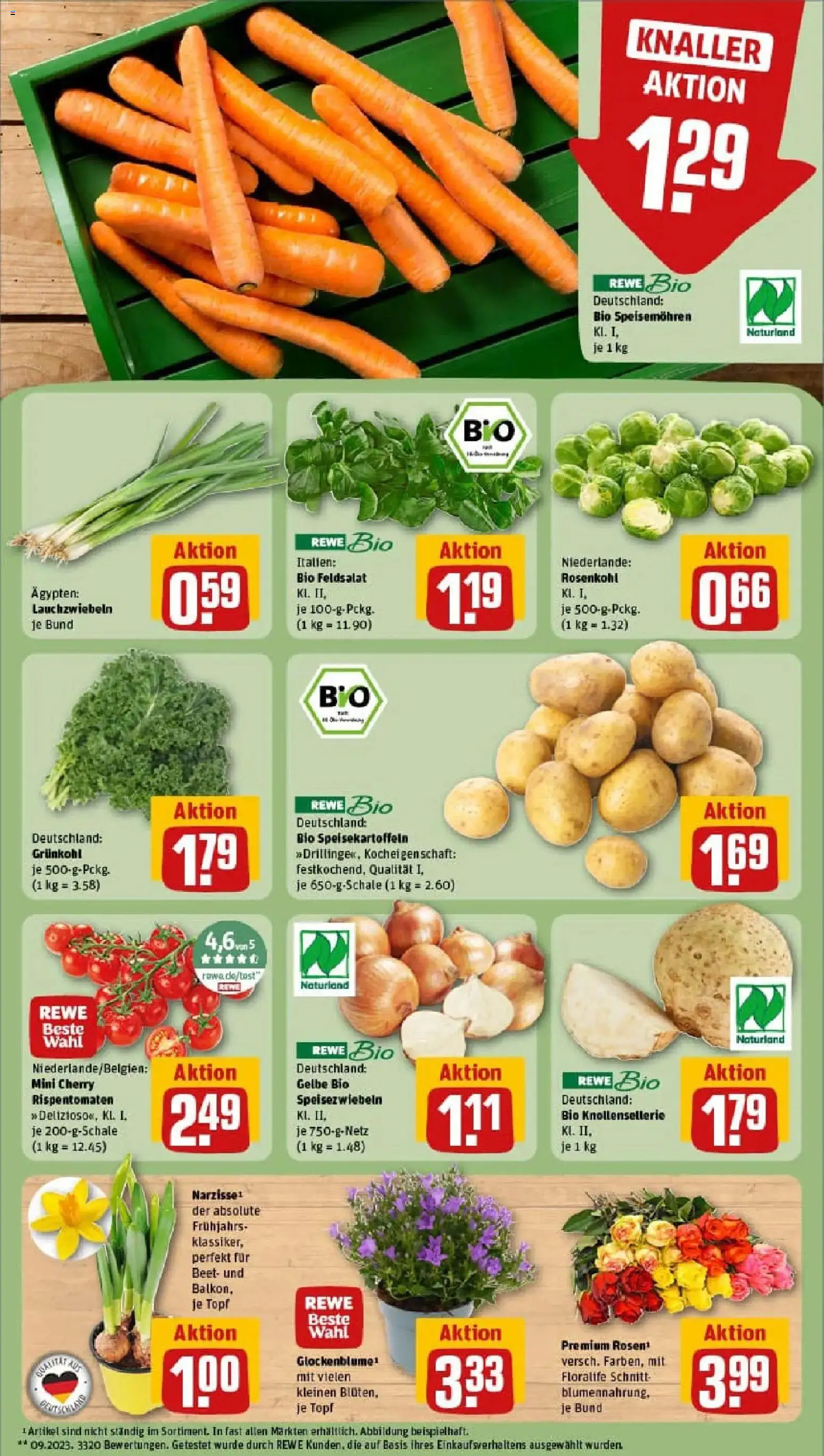 Rewe prospekt Frankfurt / Nordend-West	 – gültig ab 11.01.2026 | Seite: 7