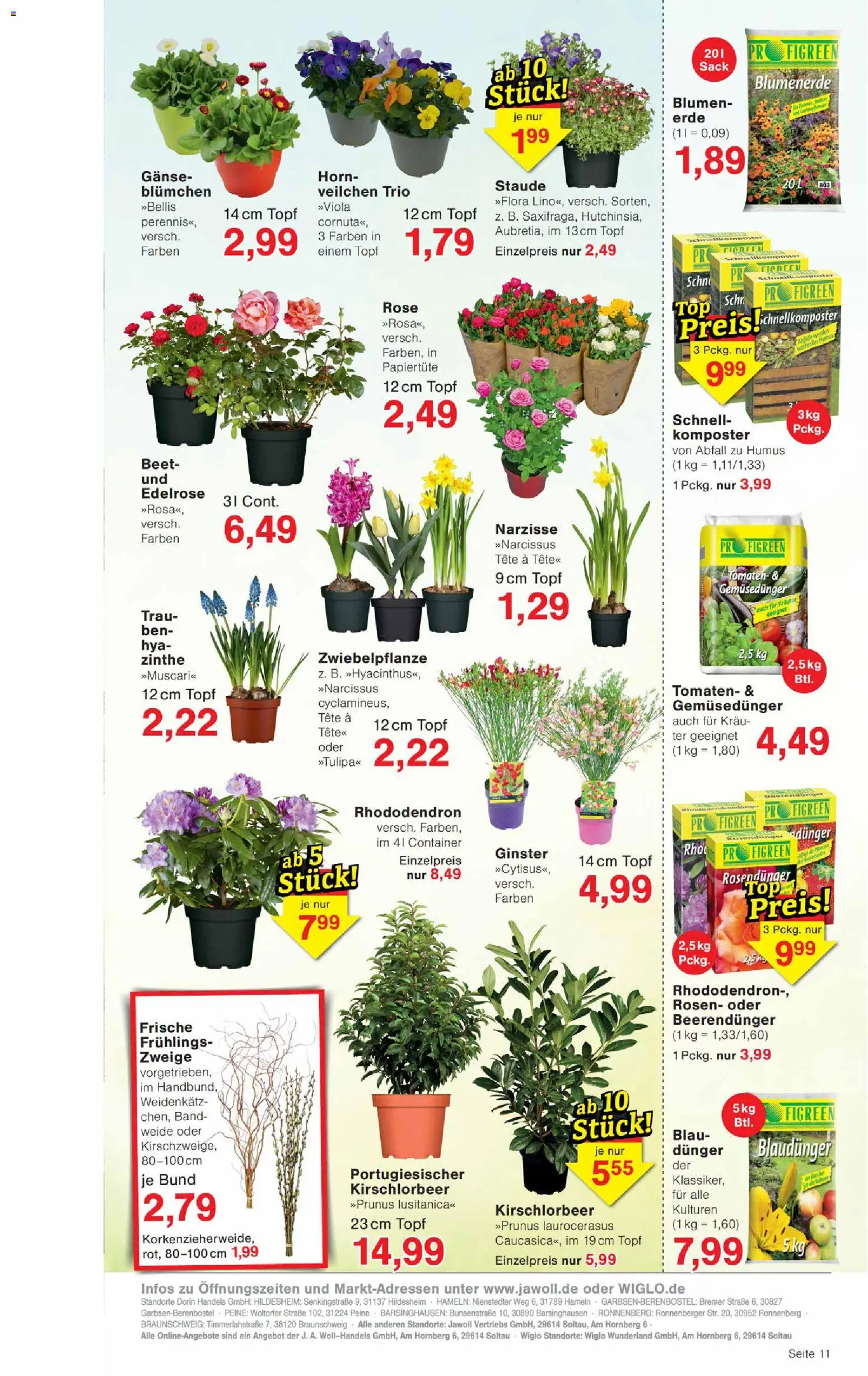 Wiglo Wunderland Prospekt 	 – gültig ab 16.03.2026 | Seite: 15 | Produkte: Top, Blumen, Tomaten, Blumenerde