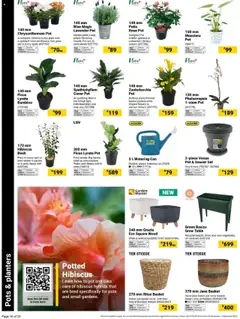 Builders specials catalogue – valid from 16.09.2025 | Page: 16 | Products: Cover, Table, Basket, Water