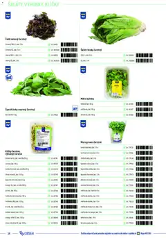 Metro leták platný od 05.12.2025 | Strana: 14