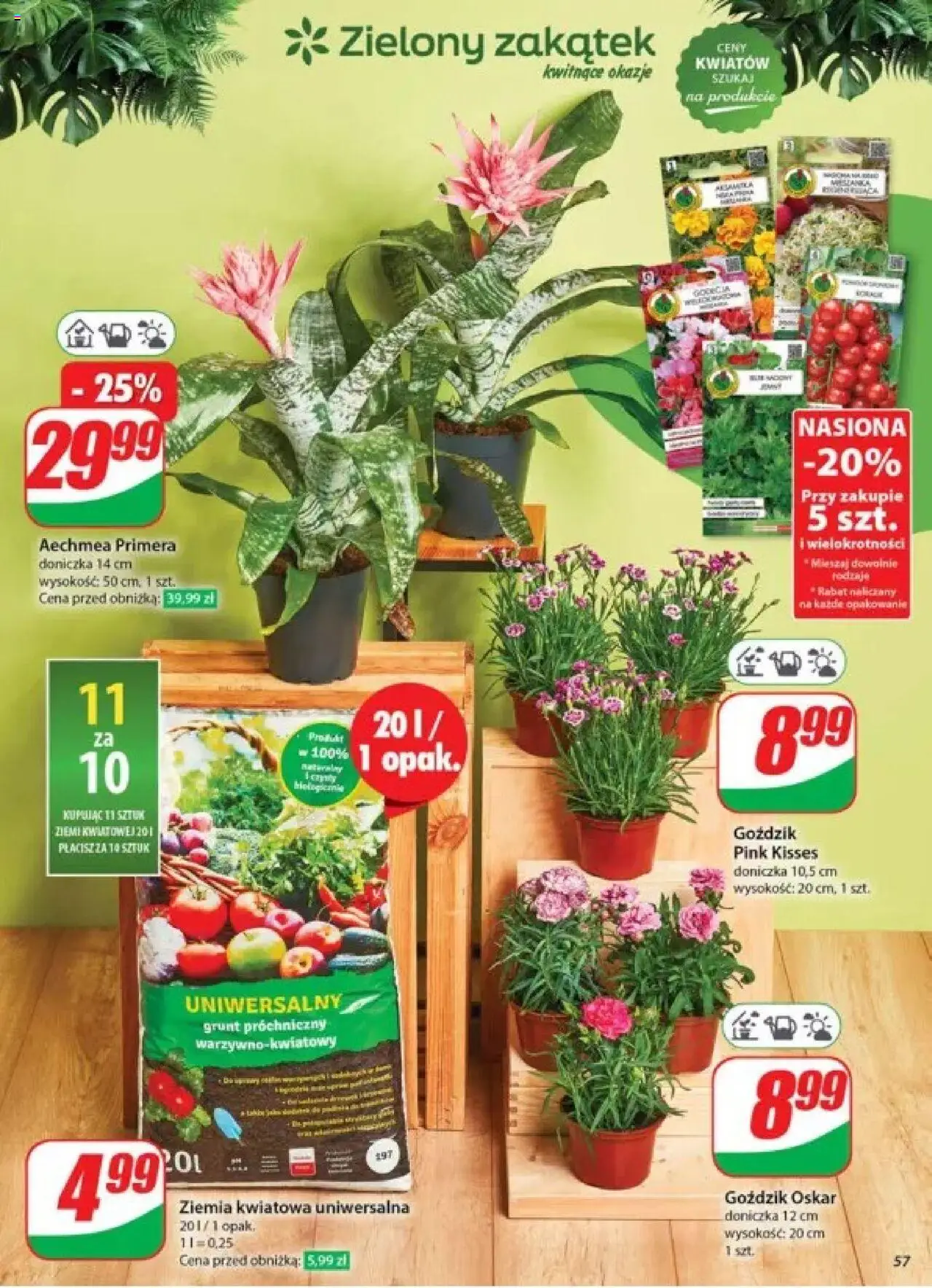 Dino Gazetka od 28.05.2025 | Strona: 57 | Produkty: Goździk, Ziemia, Nasiona, Doniczka