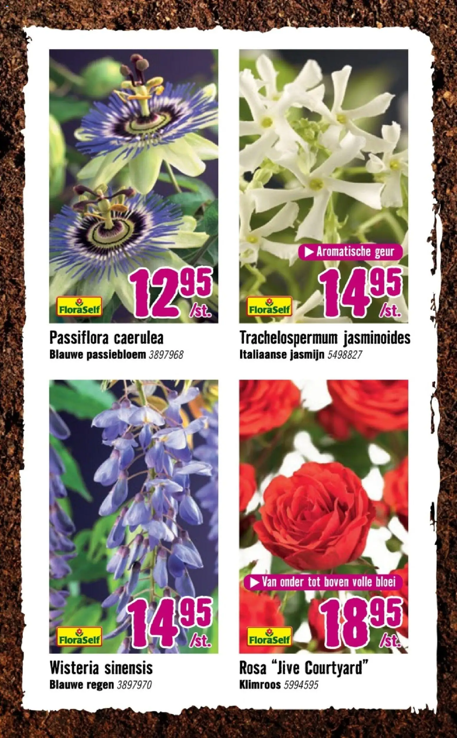 {H1} | Pagina: 8 | Producten: Geur