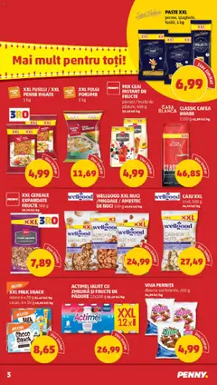 Catalog PENNY – valabil de la 13.08.2025 | Pagină: 3