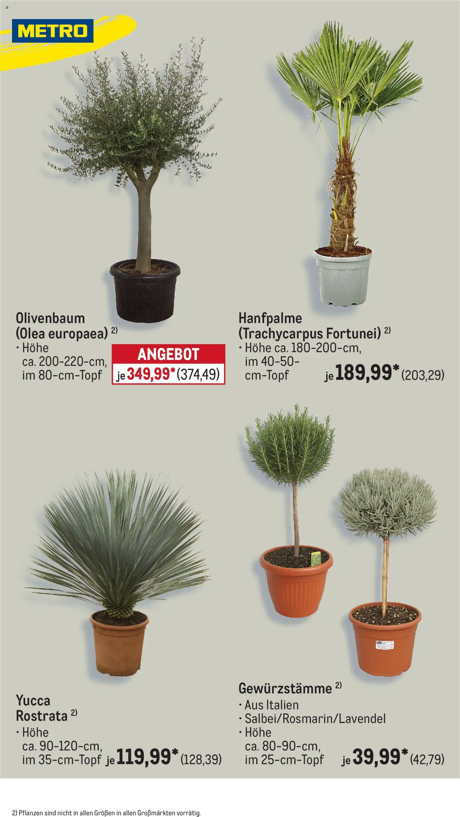 Metro Monats-Menü – gültig ab 01.04.2026 | Seite: 39