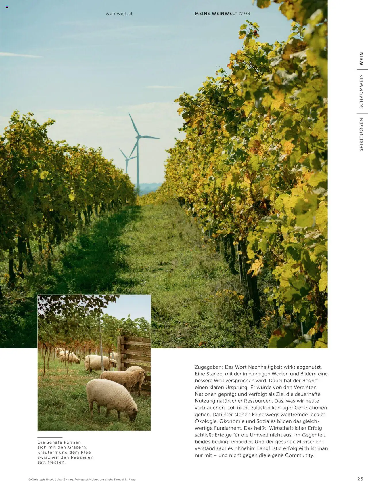 Interspar Weinwelt Magazin Ausgabe Herbst gültig ab 10.09.2025 | Seite: 25 | Produkte: Wein