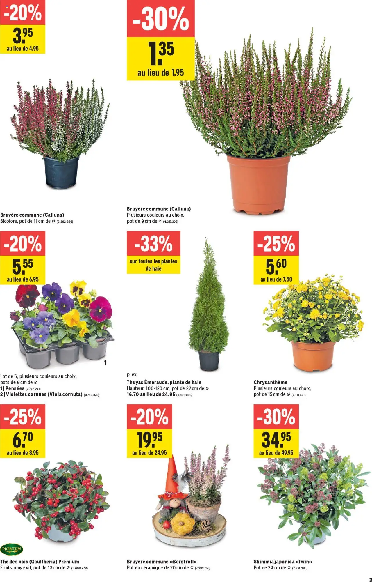Jumbo Aktionen FR – gültig ab 09.10.2025 | Seite: 3 | Produkte: Rouge