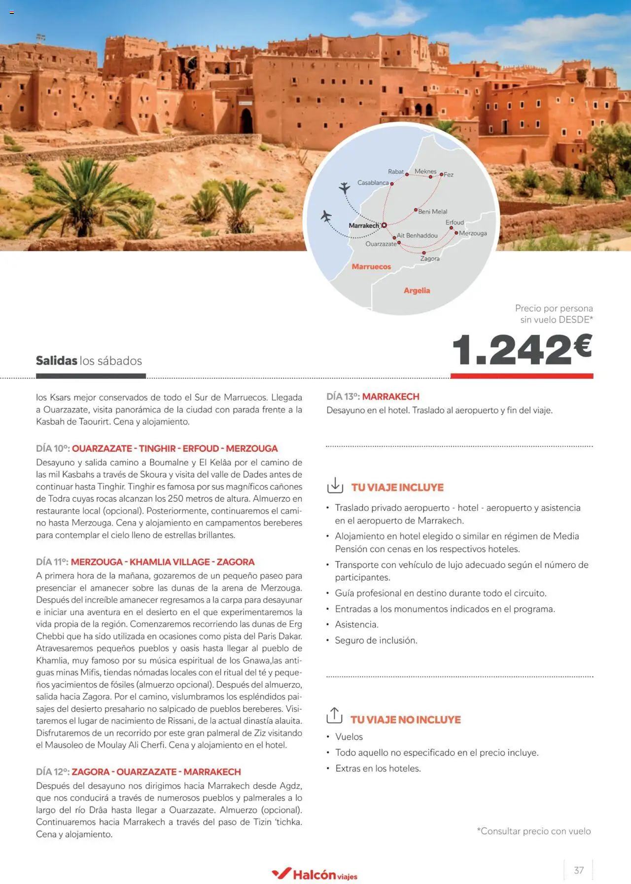 Halcón Viajes Marruecos  │ válido desde el 10.05.2024 | Página: 37 | Productos: Té
