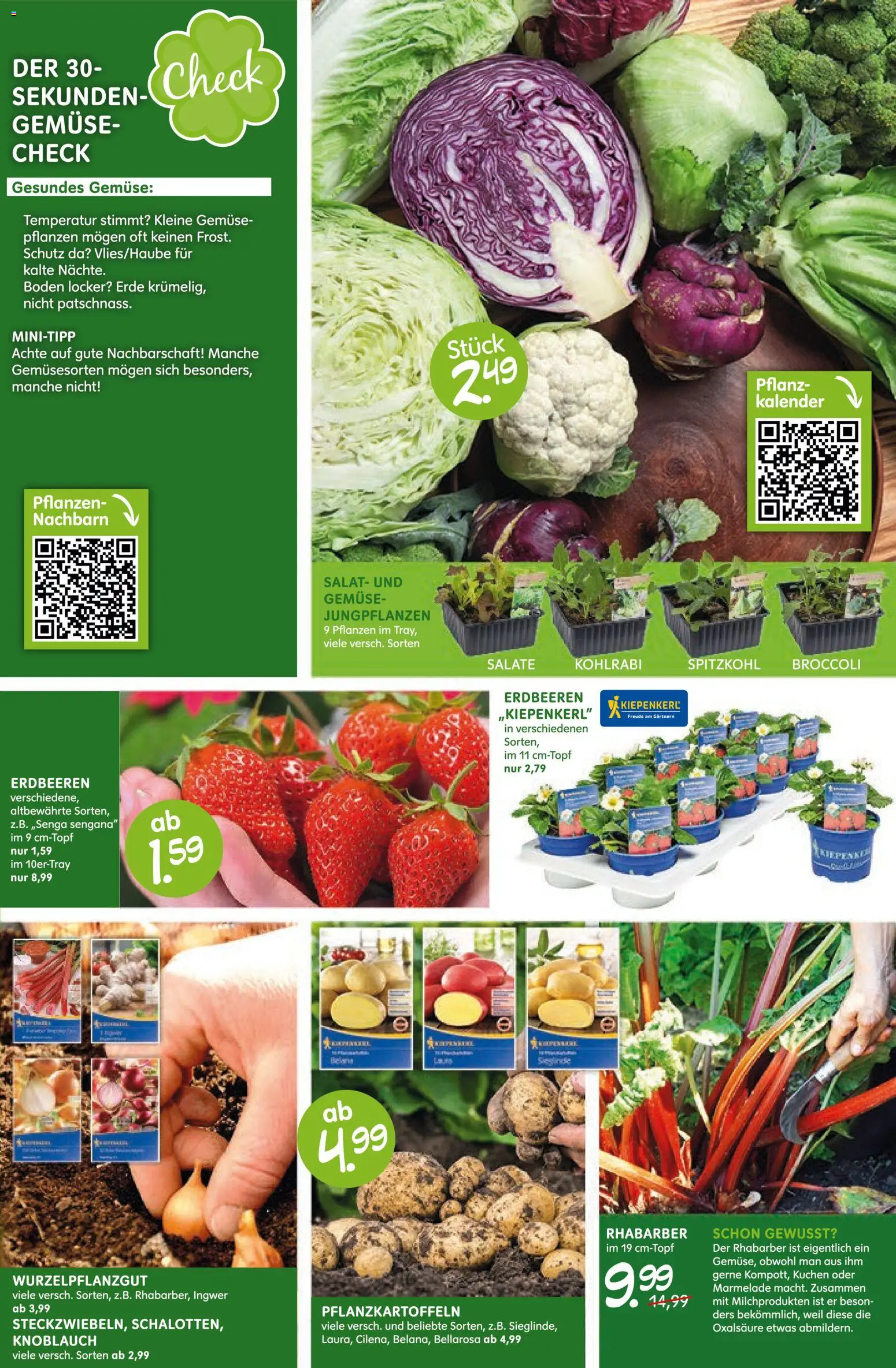 Blumen Risse Prospekt 	 – gültig ab 12.03.2026 | Seite: 5 | Produkte: Gemüse, Knoblauch, Rhabarber, Salat