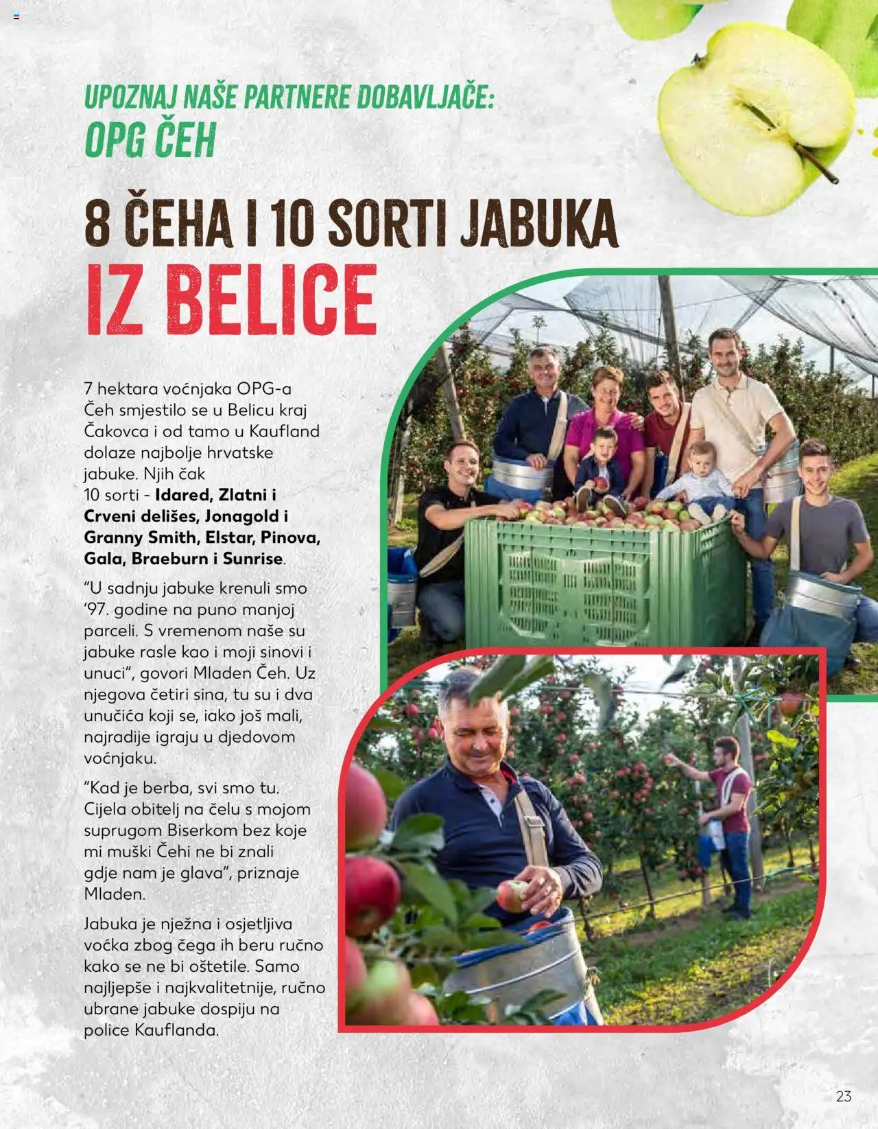 Kaufland katalog | vrijedi od 23.01.2024 | Stranica: 23 | Proizvodi: Jabuke
