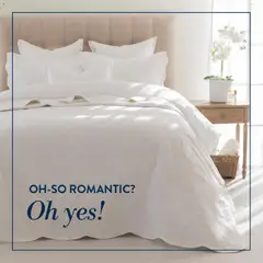 Volpes specials catalogue – valid from 20.02.2026