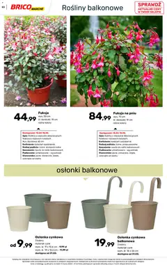 Pogląd oferty "Brico Marché gazetka - Wiosna" - ważna od 04.03.2026 | Strona: 83 | Produkty: Rosliny, Doniczki