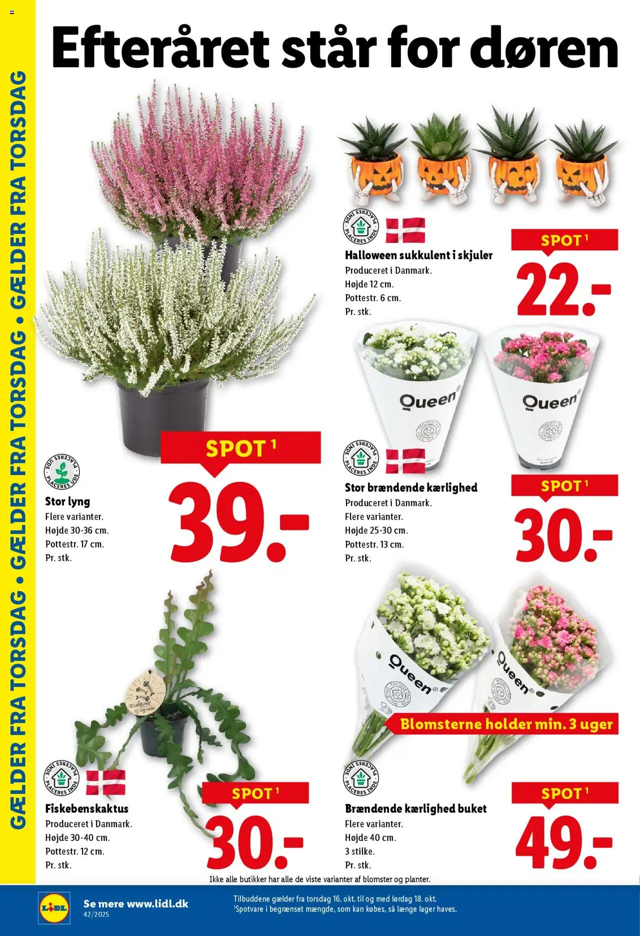 Lidl tilbudsavis – gyldig fra 12.10.2025 | Side: 28 | Produkter: Søm