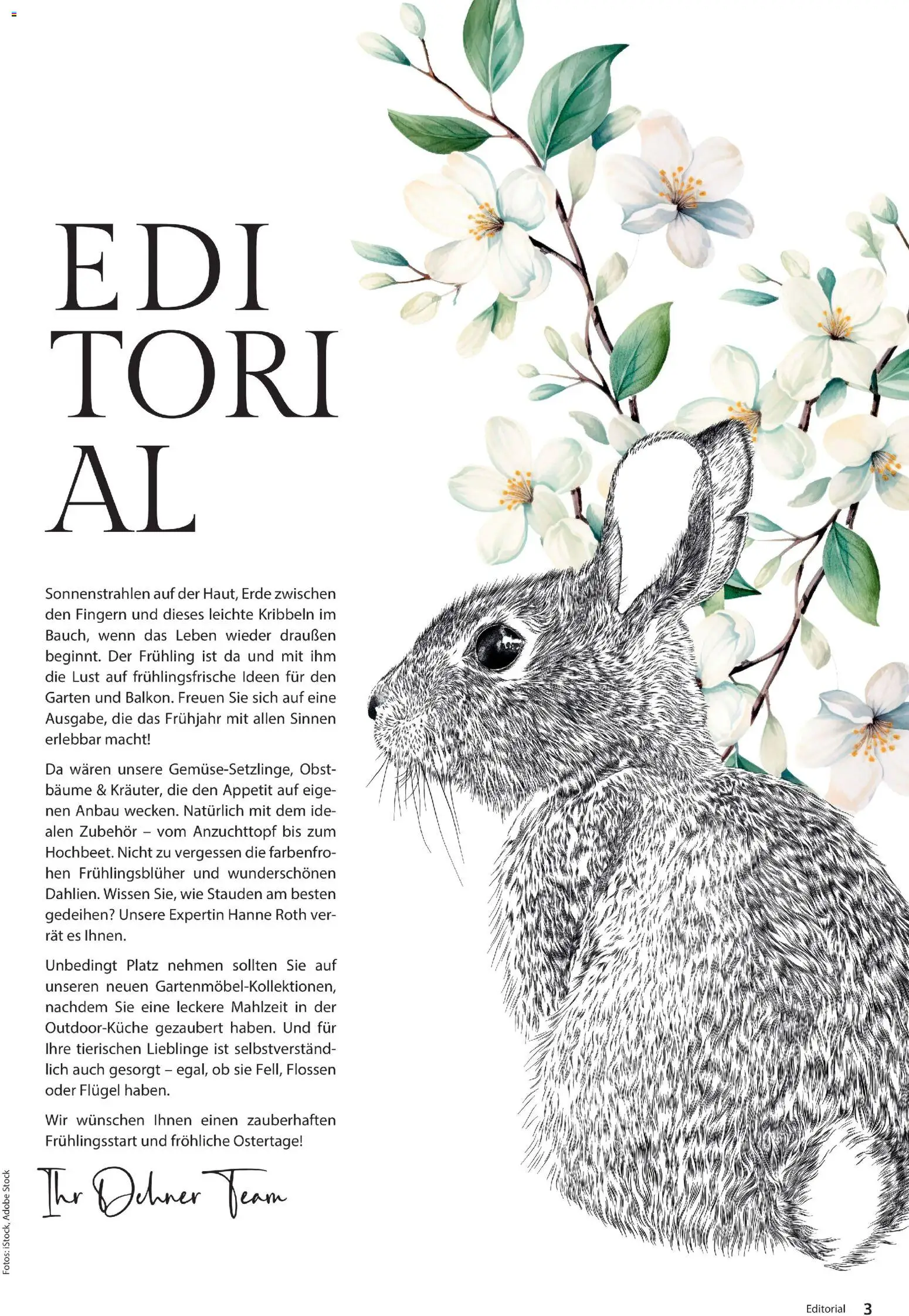 Dehner Flugblatt gültig ab 05.03.2026 | Seite: 3 | Produkte: Obst