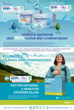 Gyöngy Patikák Akciós újság - amely érvényes a következő dátumtól: 01.10.2025 | Oldal: 3