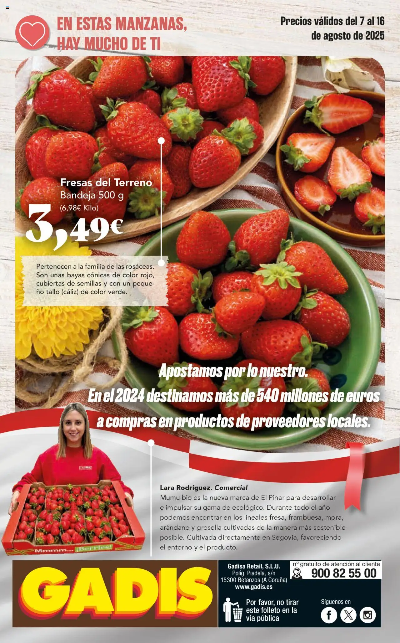 Gadis folleto │ válido desde el 07.08.2025 | Página: 12 | Productos: Fresas, Bandeja