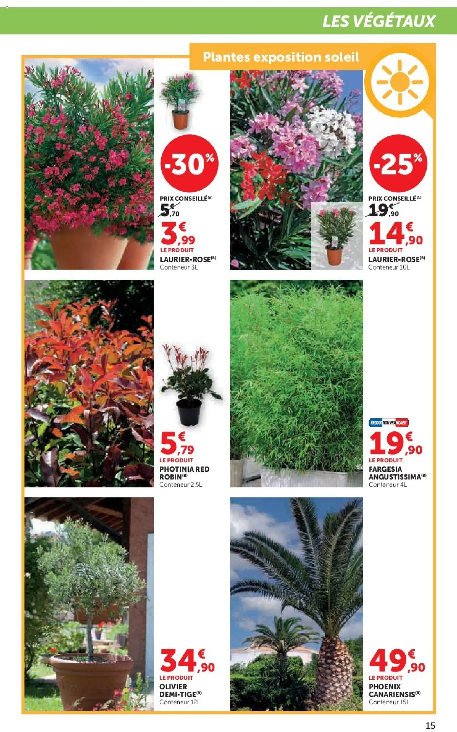 {H1} | Page: 15 | Produits: Plantes, Olivier