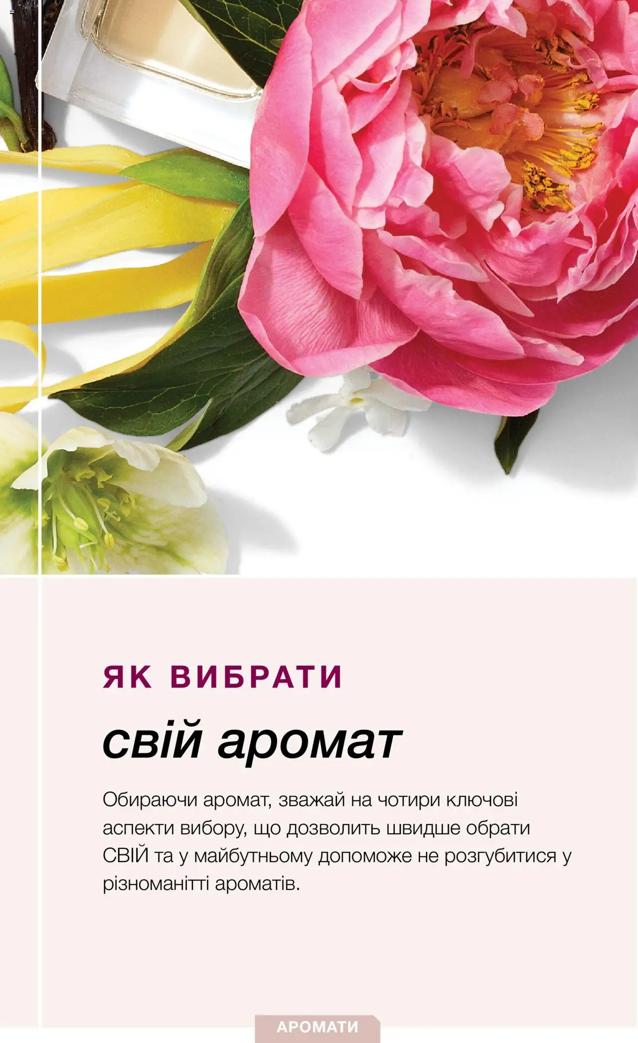 Mary Kay Kаталог - дійснийкції з 30.10.2024 | Сторінка: 3 | Товари: Аромат