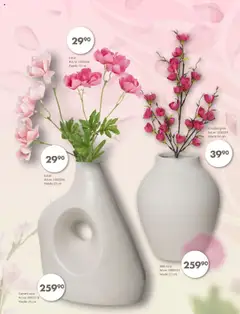 Forhåndsvisning av Spar Kjøp - Evige blomster gyldig fra 01.09.2025 | Side: 7