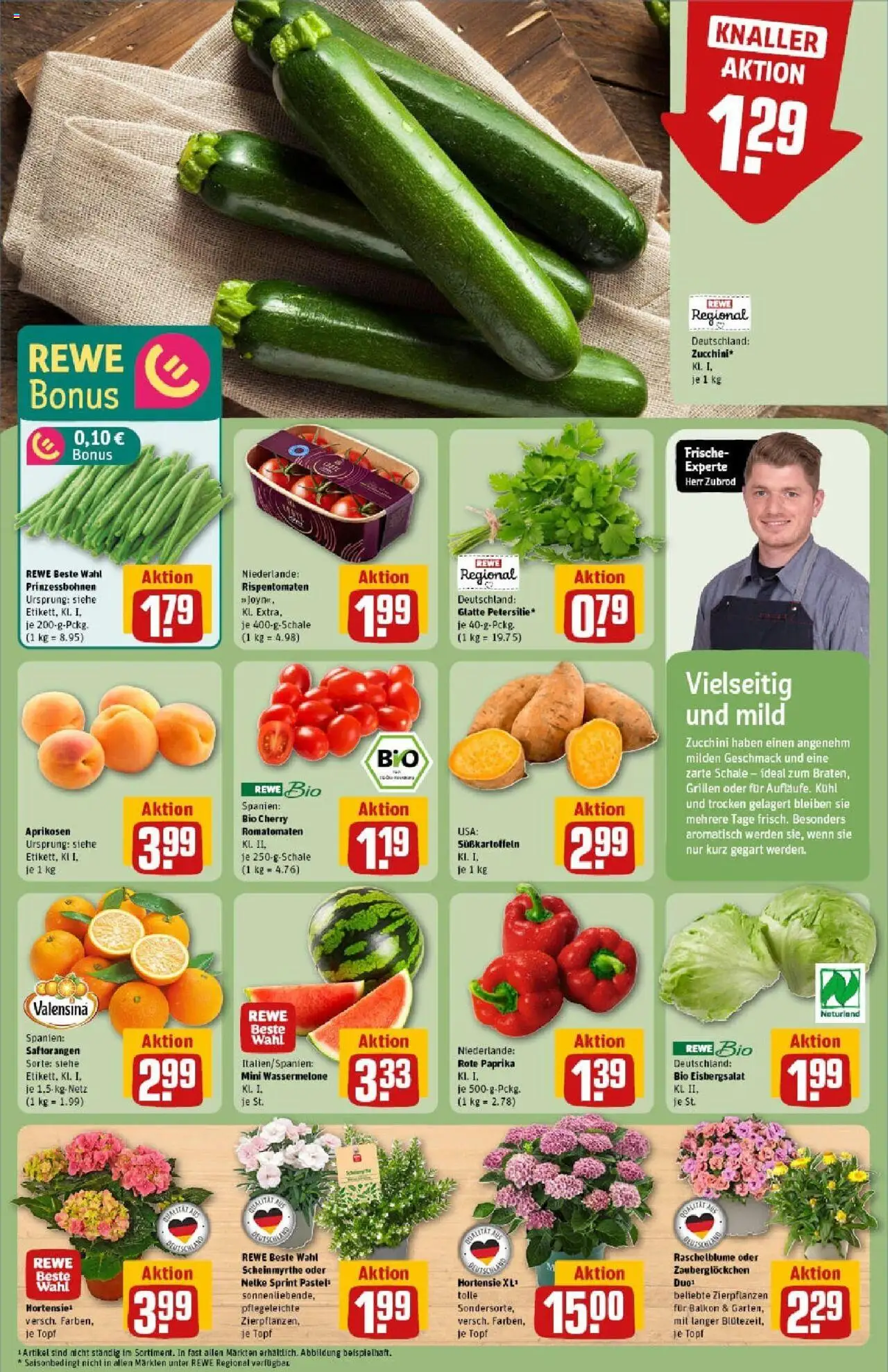 Rewe prospekt Bitburg	 - gültig ab dem 22.06.2025 | Seite: 7 | Produkte: Hortensie, Paprika, Wassermelone, Zucchini