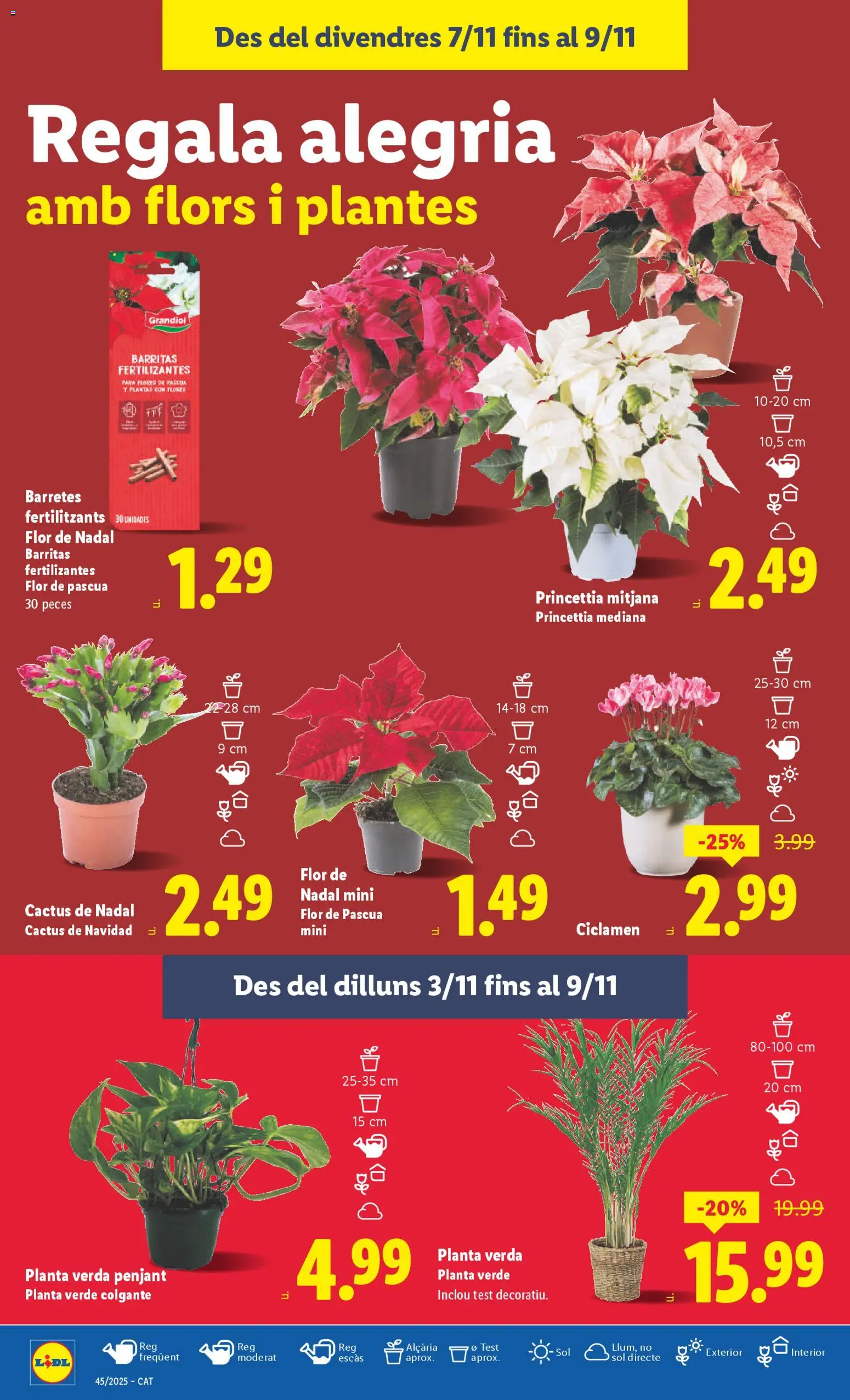 Lidl folleto │ válido desde el 03.11.2025 | Página: 38