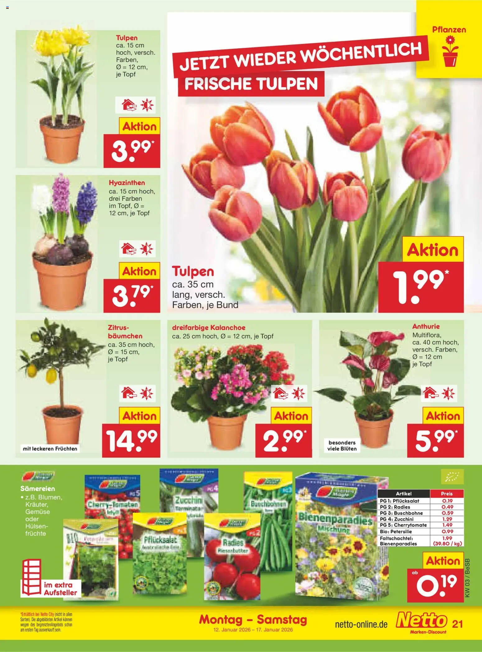 Netto Marken-Discount Prospekt 	 – gültig ab 12.01.2026 | Seite: 21 | Produkte: Gemüse, Petersilie, Zucchini