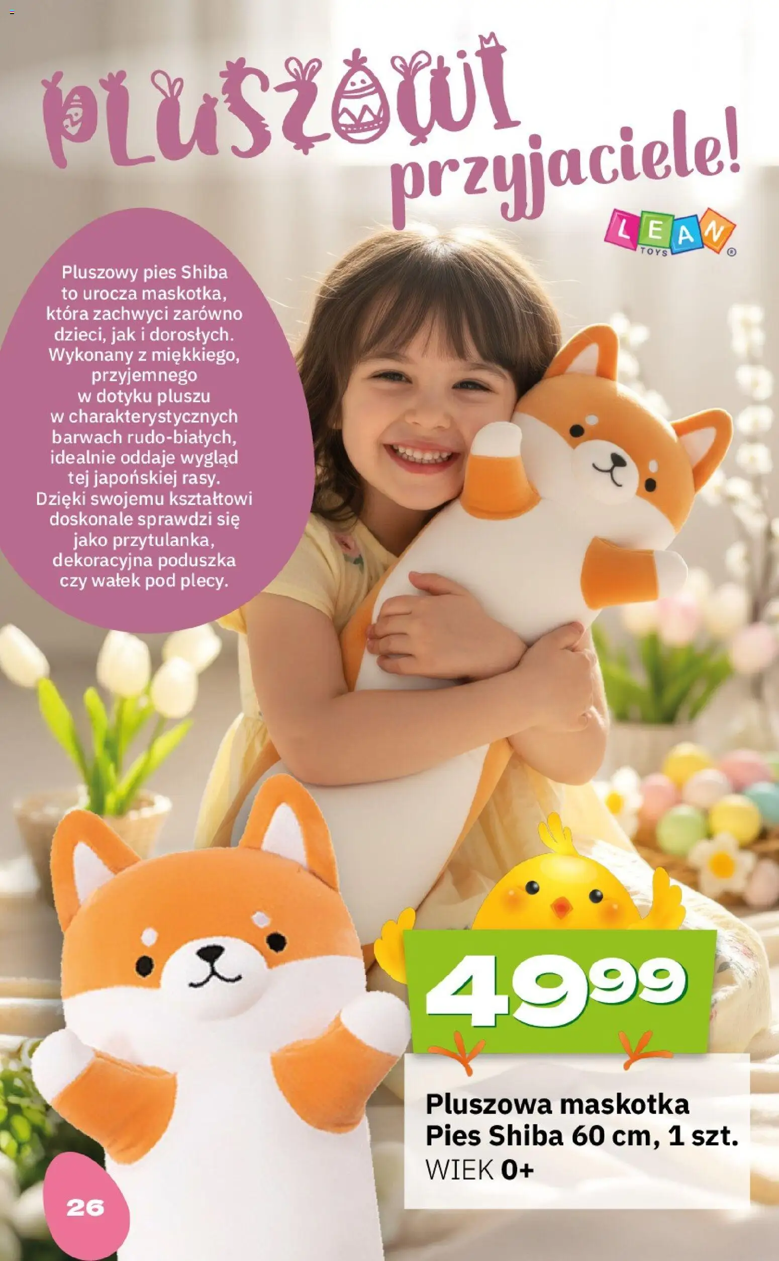 Twój Market gazetka - Wielkanoc od 09.03.2026 | Strona: 26 | Produkty: Poduszka