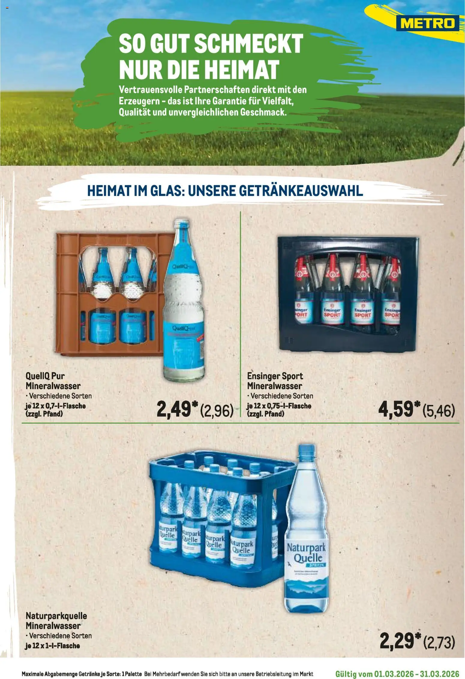 Metro Regionaler Flyer – gültig ab 01.03.2026 | Seite: 113 | Produkte: Mineralwasser