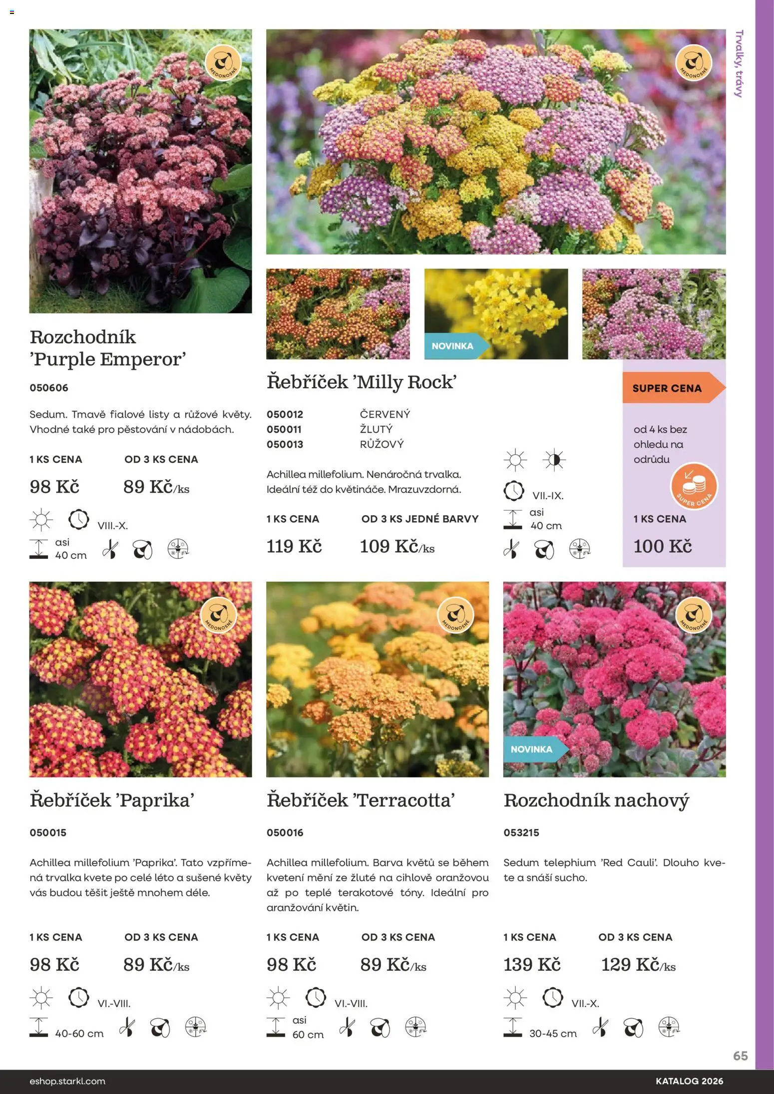 Starkl katalog od 25.02.2026 | Strana: 65 | Produkty: Barvy