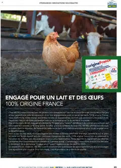  | Page: 25