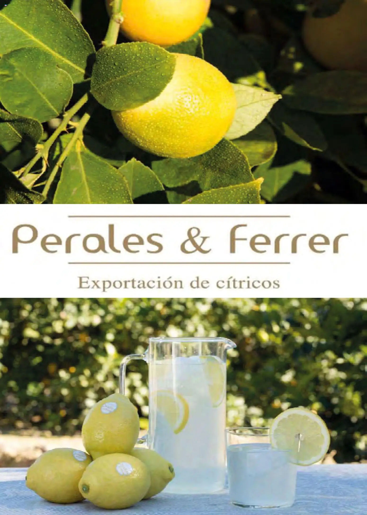 Costco catálogo │ válido desde el 19.03.2026 | Página: 146