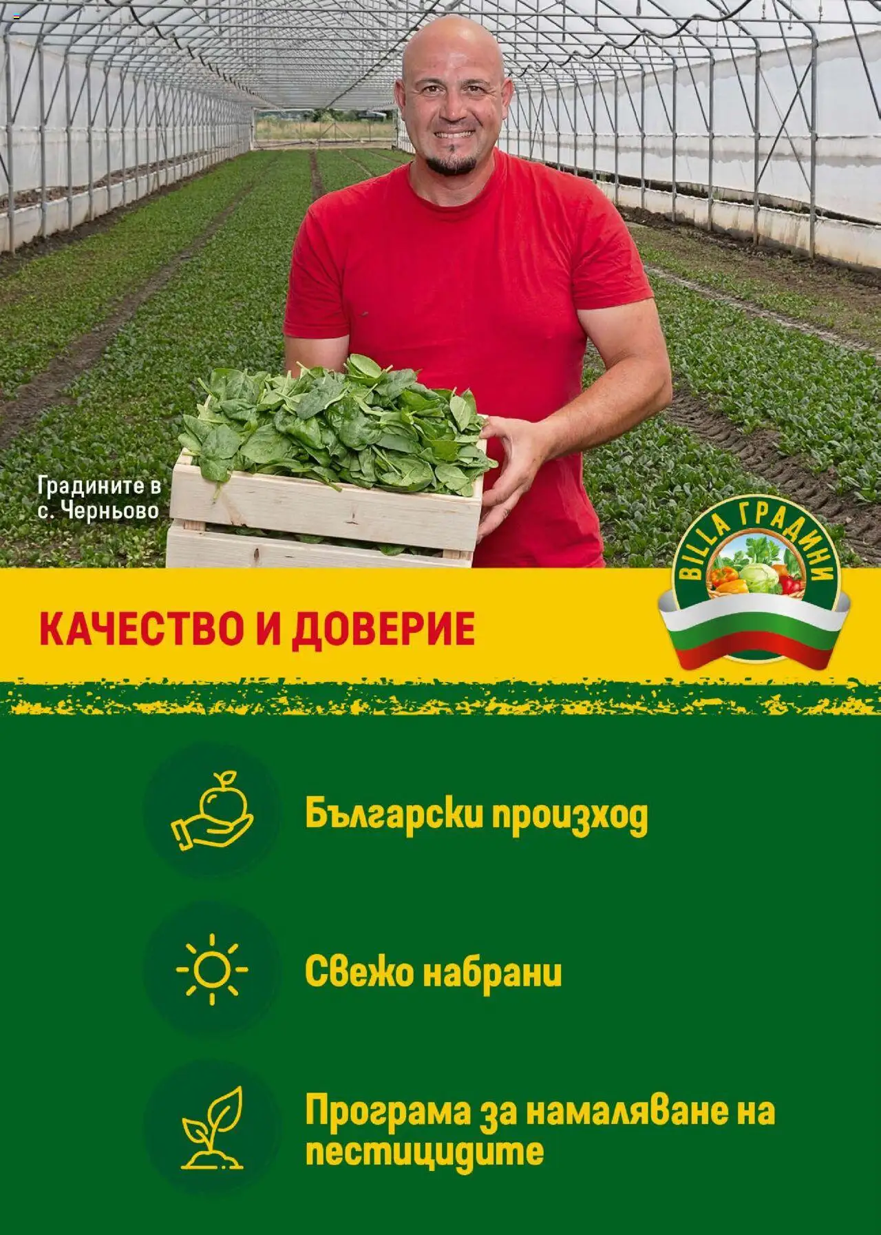  | Страница: 11