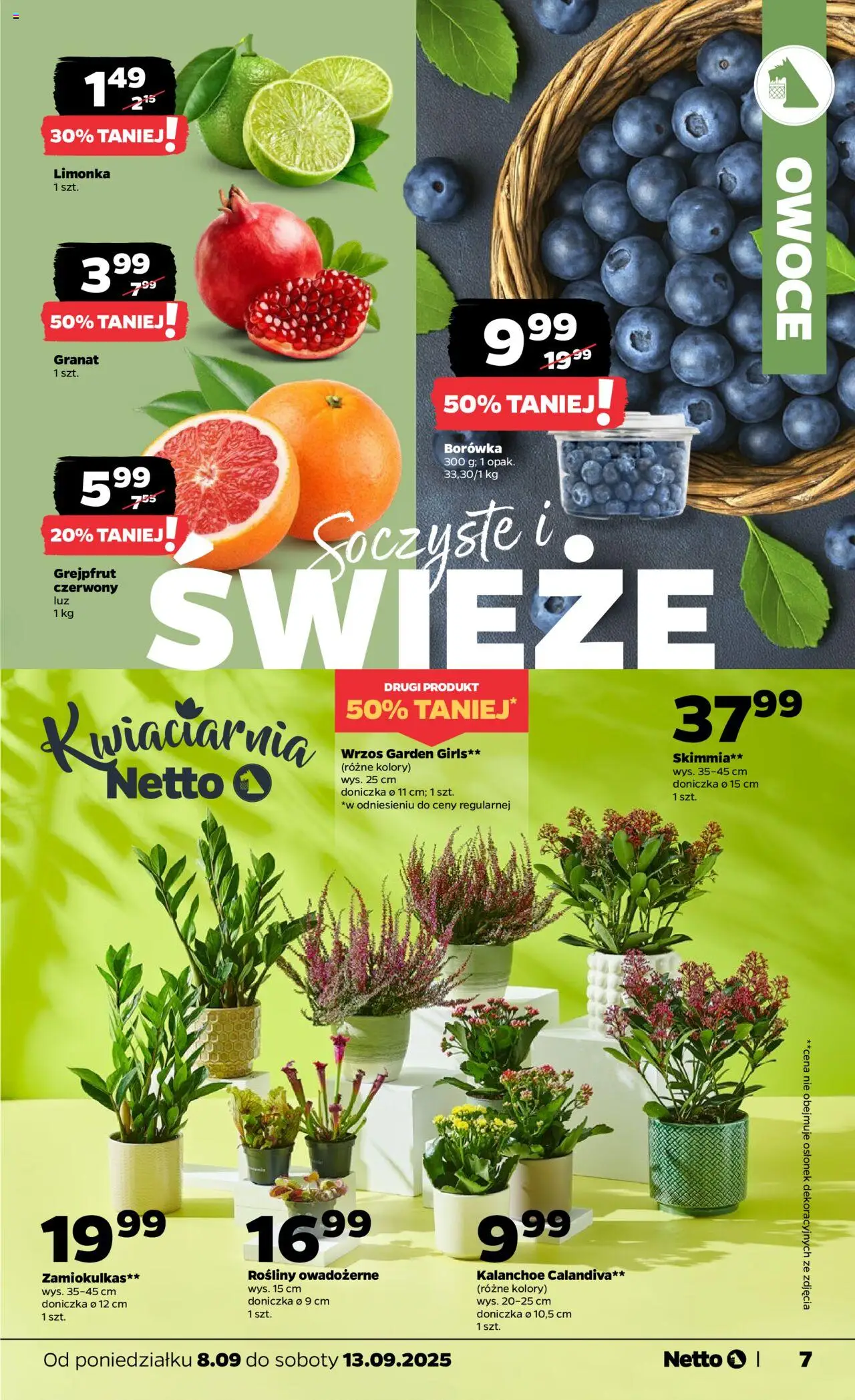 Netto gazetka - Spożywcza od 08.09.2025 | Strona: 7 | Produkty: Zamiokulkas, Wrzos, Rosliny, Grejpfrut