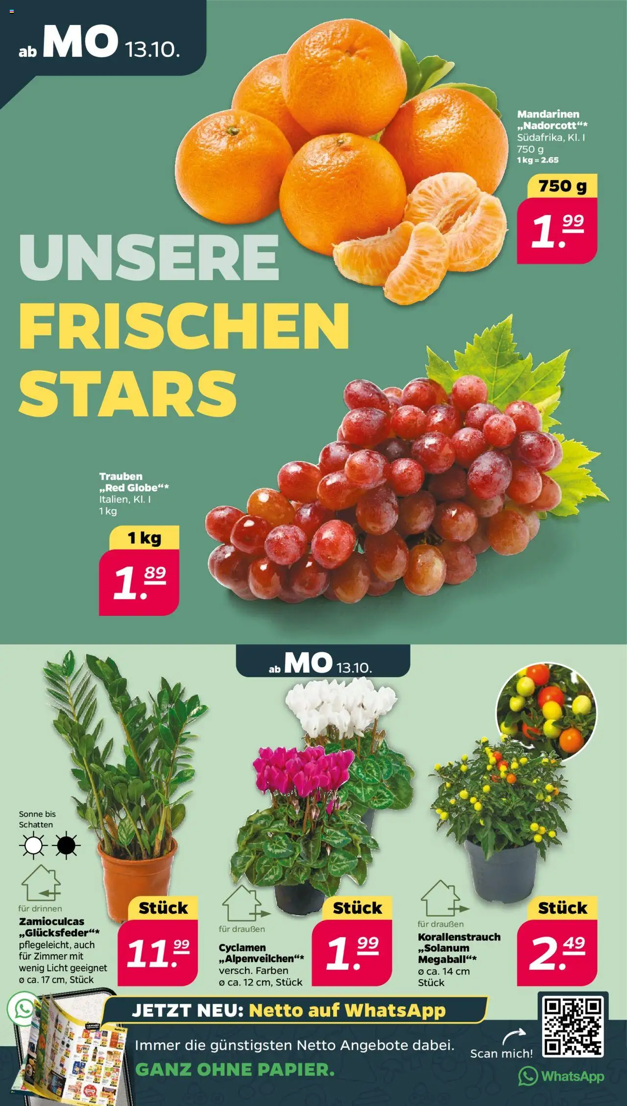 Netto Prospekt 	 – gültig ab 13.10.2025 | Seite: 2 | Produkte: Trauben, Mandarinen