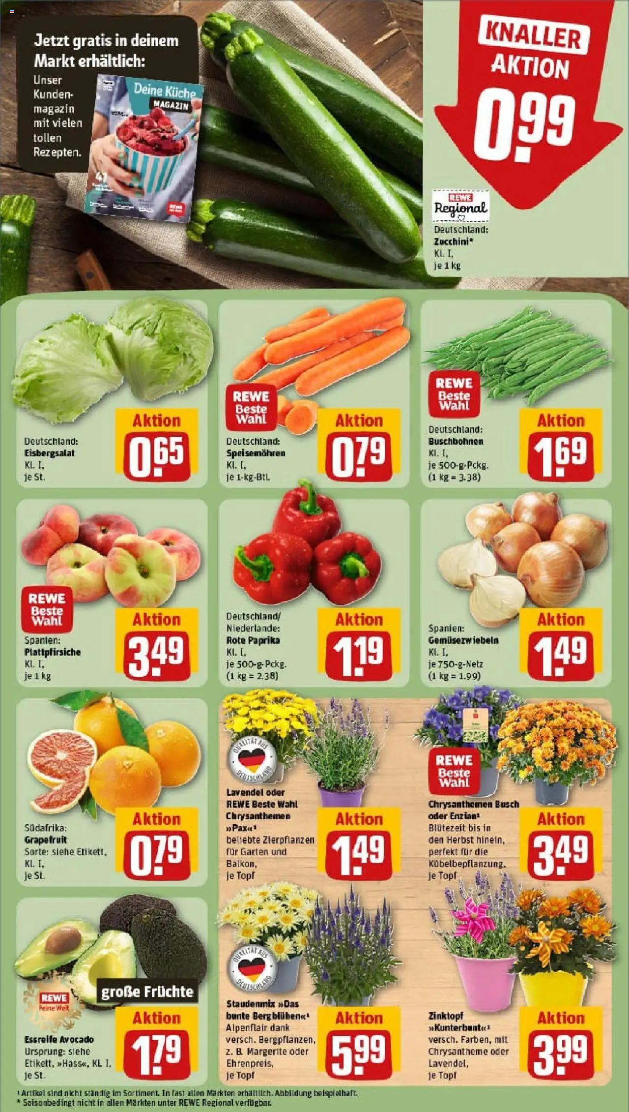 Rewe prospekt Cottbus / Schmellwitz	 - gültig ab dem 20.07.2025 | Seite: 7 | Produkte: Küche, Eisbergsalat, Paprika, Lavendel