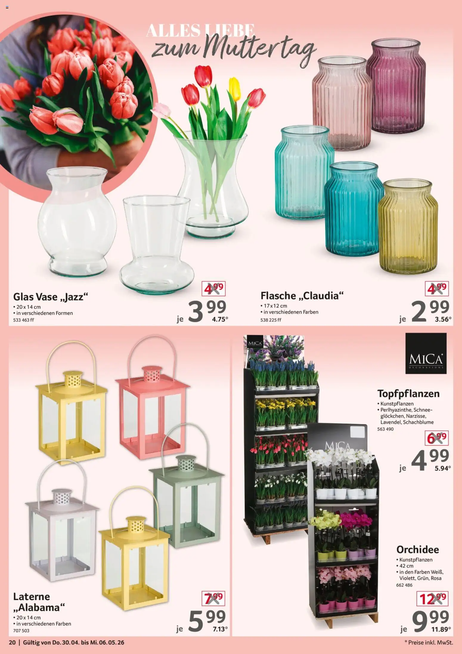 Selgros Nonfood – gültig ab 30.04.2026 | Seite: 20 | Produkte: Orchidee, Vase