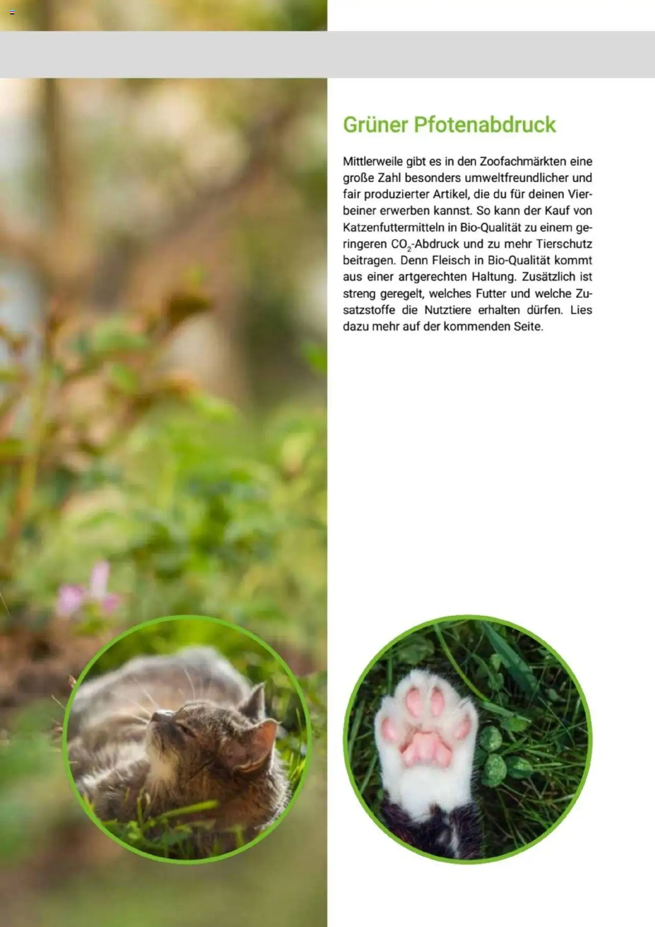 zookauf Themenkatalog Katze – gültig ab 01.10.2025 | Seite: 57 | Produkte: Fleisch