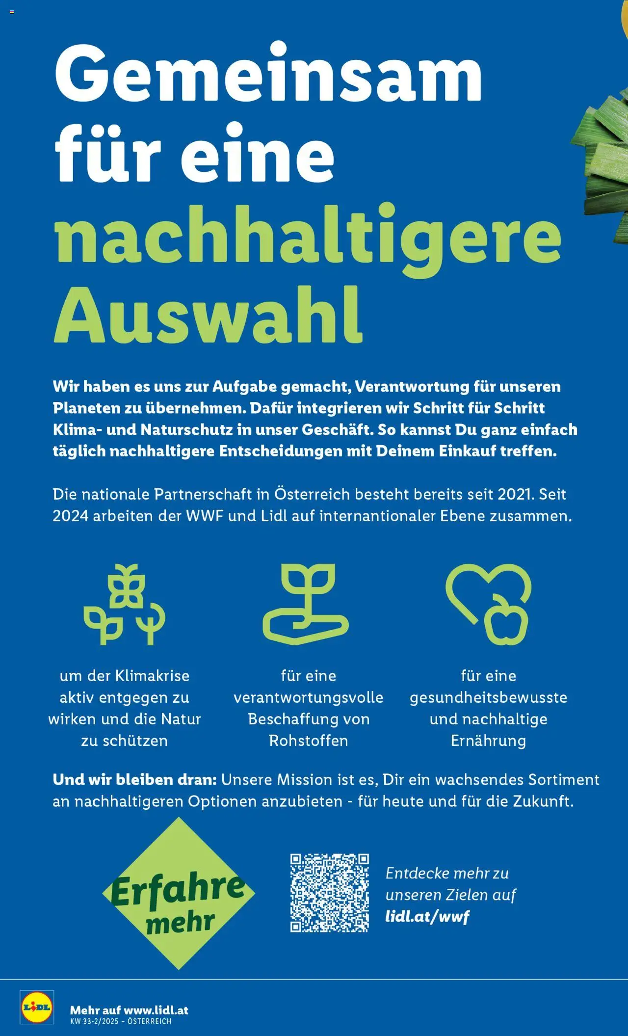 Lidl Flugblatt gültig ab 14.08.2025 | Seite: 12