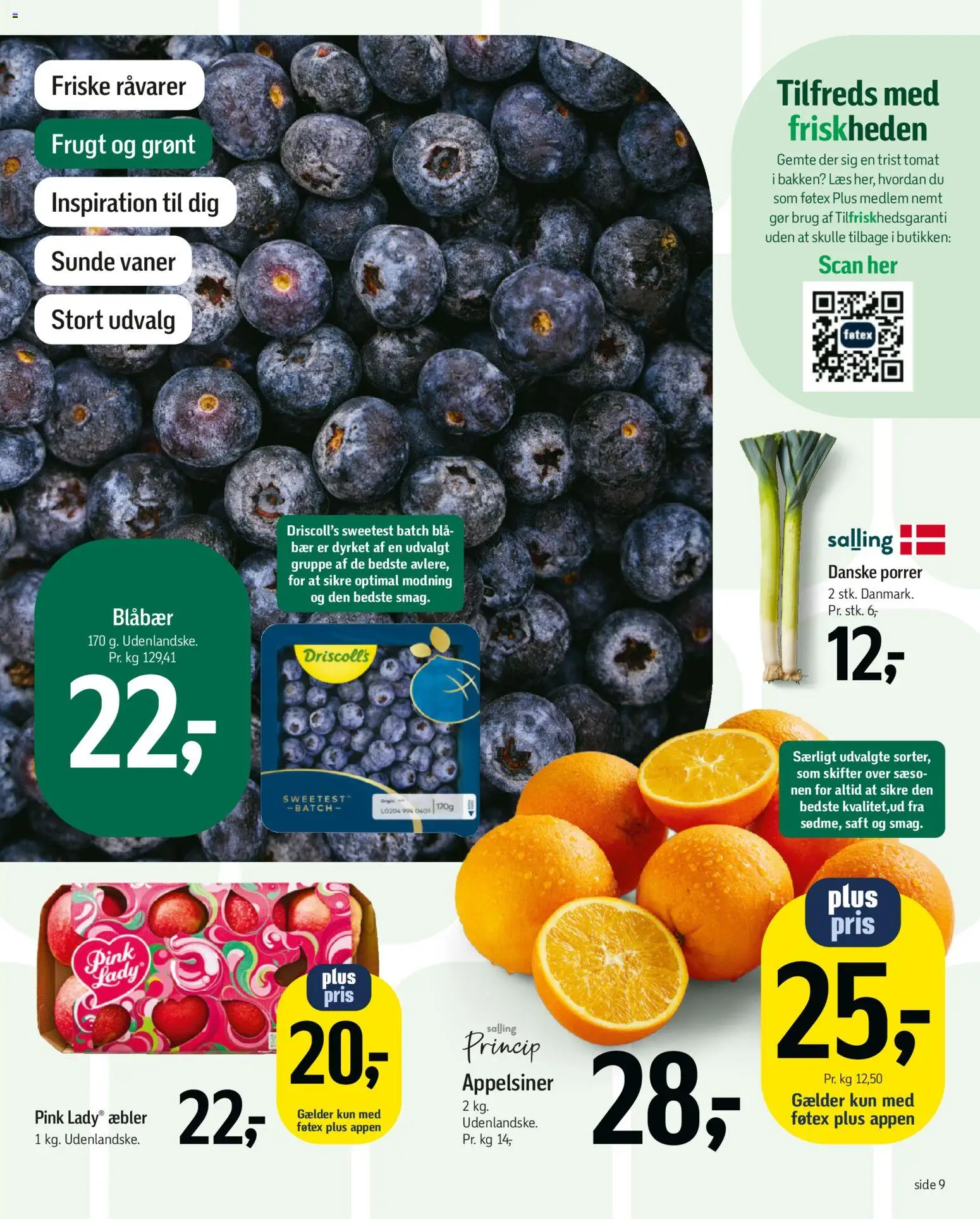 Føtex tilbudsavis – gyldig fra 13.02.2026 | Side: 13