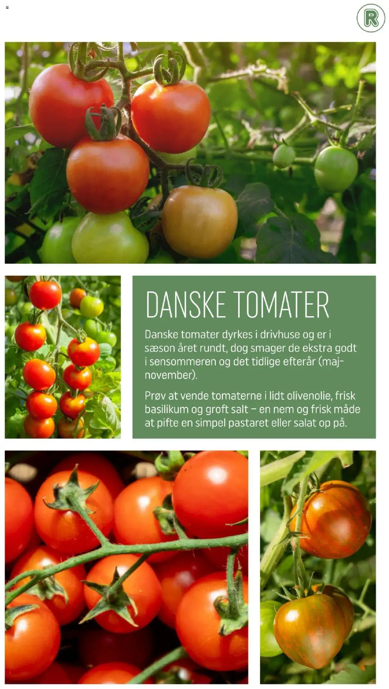 Rema 1000 Tilbudsavis gyldig fra 31.08.2025 | Side: 6 | Produkter: Tomater, Salat, Salt, Basilikum