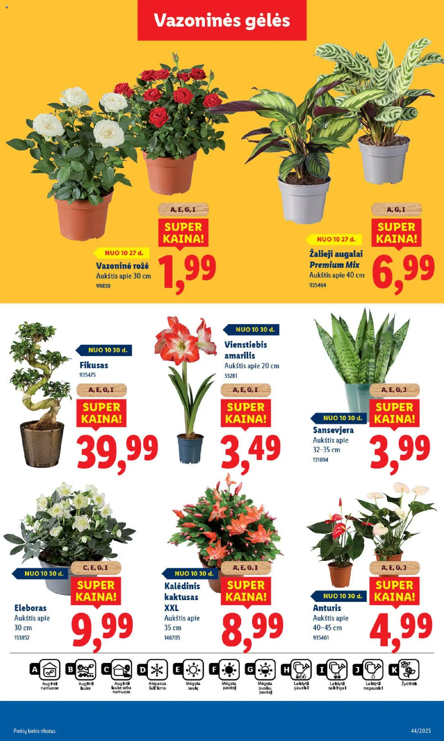LIDL akcijos nuo 27.10.2025 | Puslapis: 49