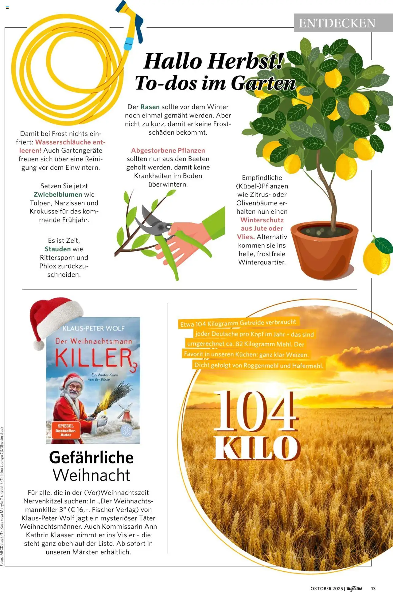 Famila Nordwest myTime Oktober 2025 – gültig ab 01.10.2025 | Seite: 13 | Produkte: Spiegel, Kuchen, Getreide