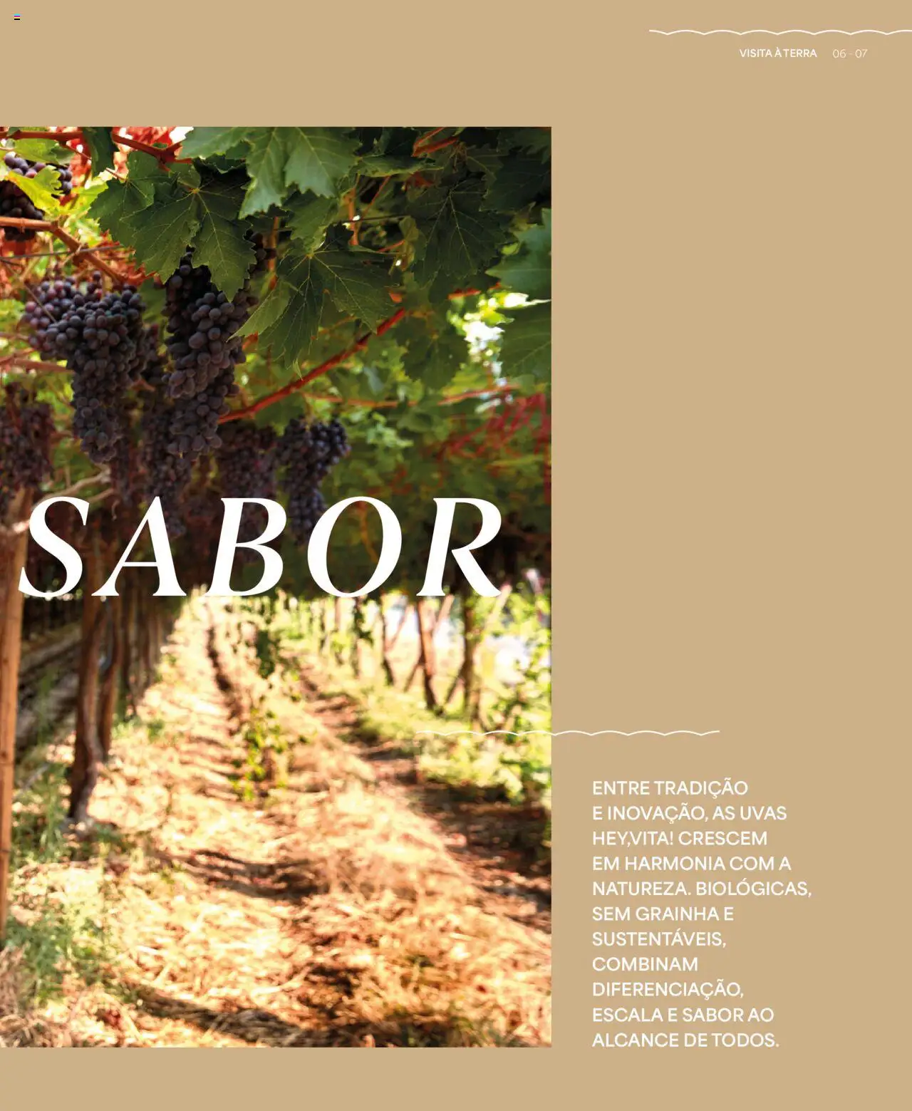 Recheio - Recheio da Terra │ válido de 25.09.2025 | Página: 7 | Produtos: Uvas