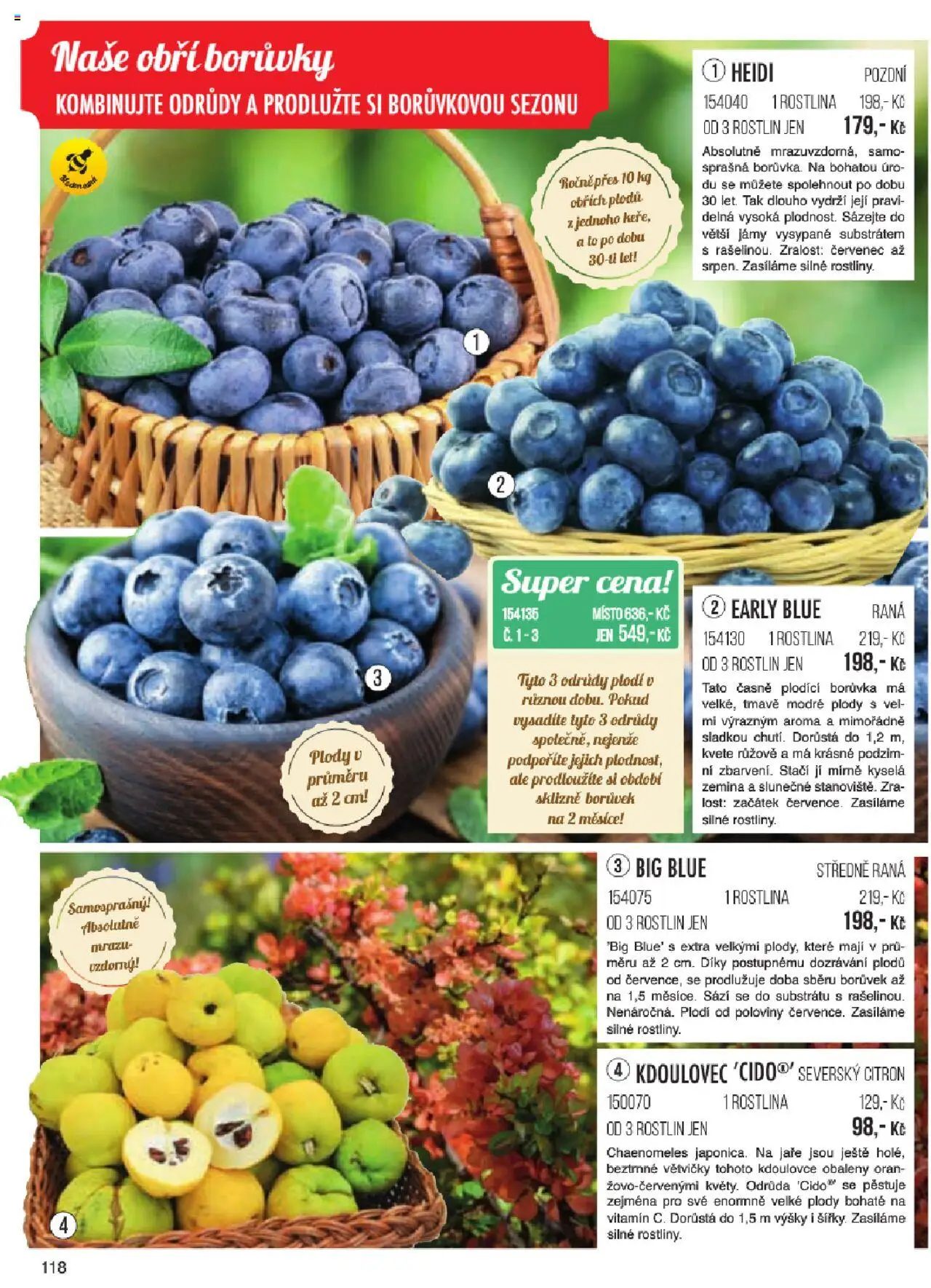 Starkl katalog jaro 2024 od 06.01.2025 | Strana: 118 | Produkty: Borůvky, Rostliny, Citron, Zemina