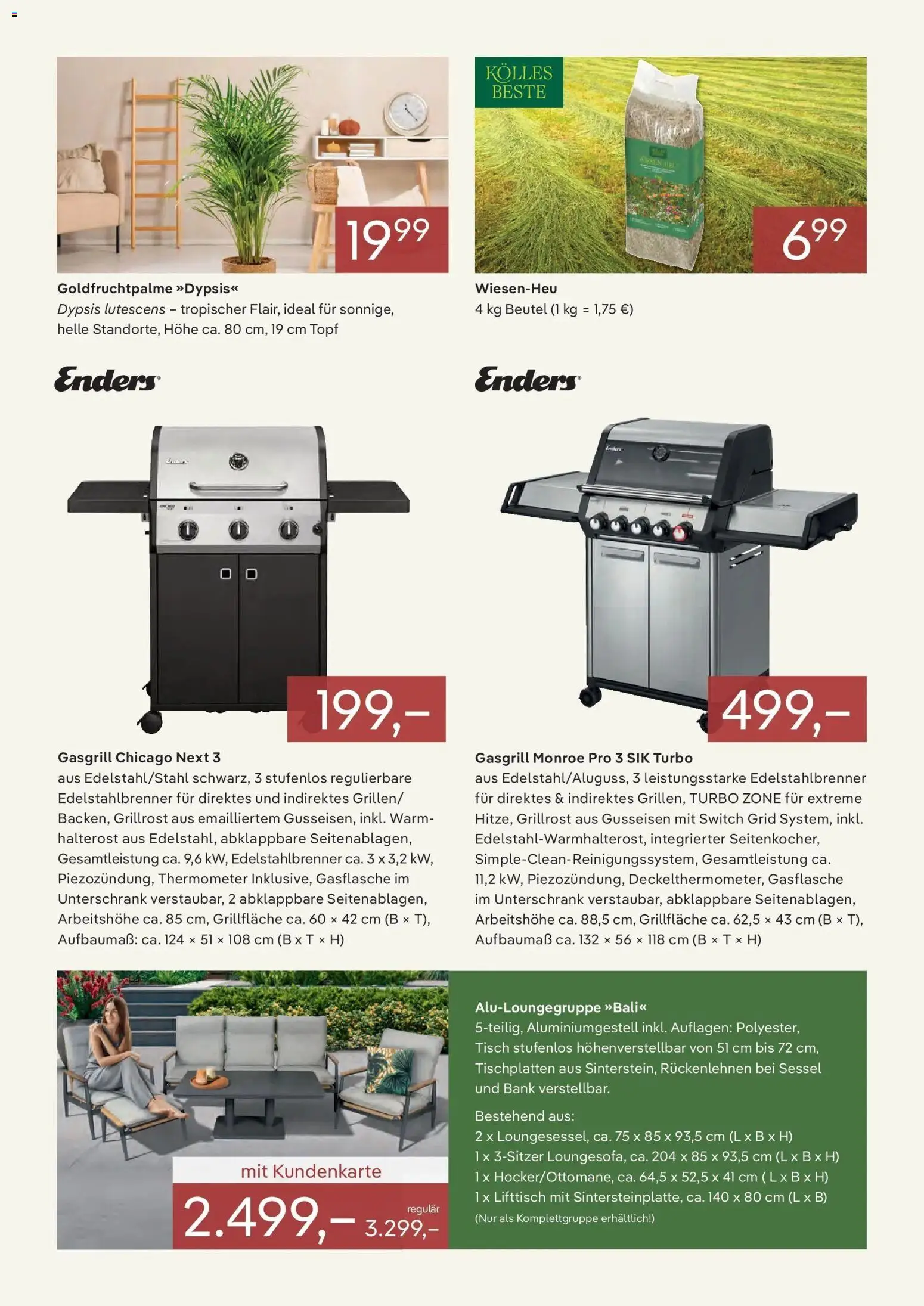 Pflanzen-Kölle Prospekt 	 – gültig ab 01.01.2026 | Seite: 3 | Produkte: Thermometer, Sessel, Tisch, Unterschrank