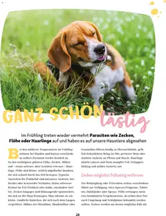 Fressnapf Friends Magazin ab 02.03.2026 gültig | Seite: 24 | Produkte: Tablet