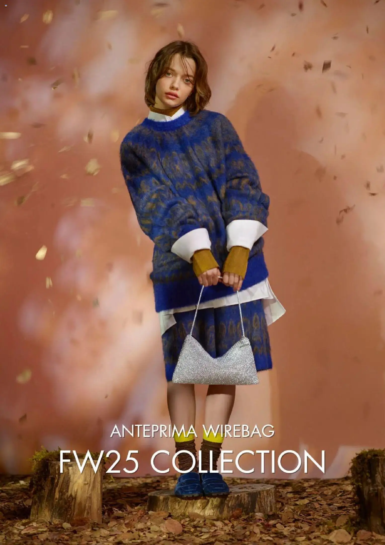 Volantino Anteprima del 26.11.2025 | Pagina: 21