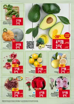 Преглед на Орхидея Фаленопсис с 1 разклонение саксия Ф12**, 1бр. - Офертите са валидни от 23.10.2025 | Страница: 7