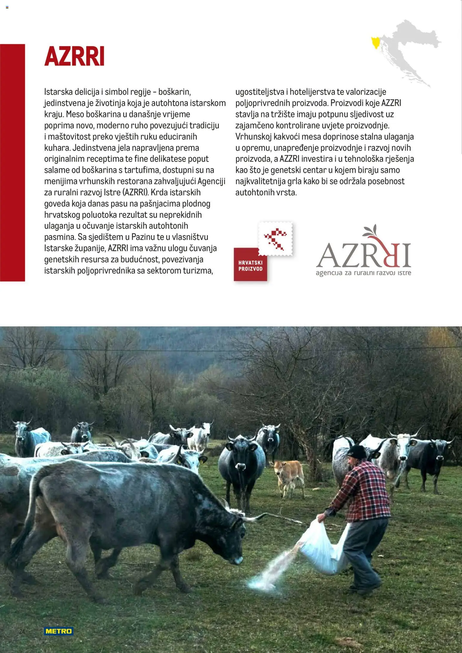 Metro katalog | vrijedi od 10.02.2026 | Stranica: 24