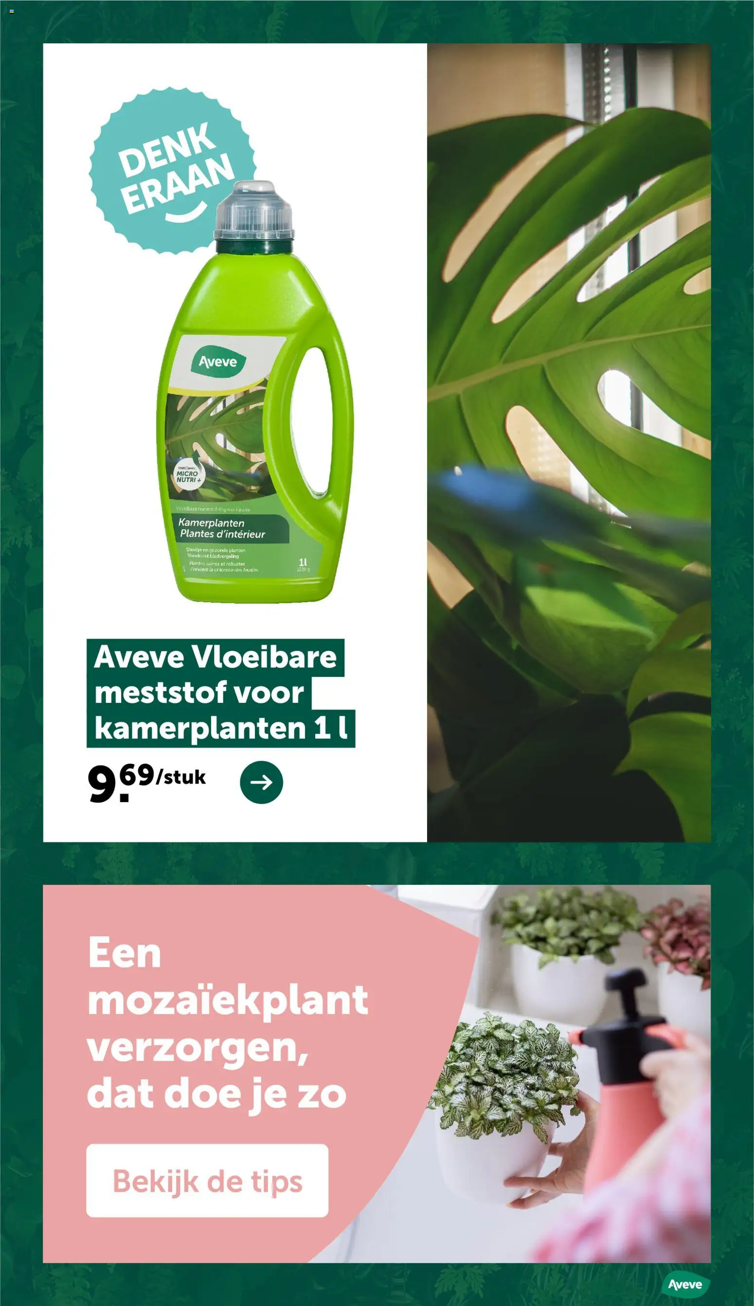 {H1} | Pagina: 13 | Producten: La, Kamerplanten